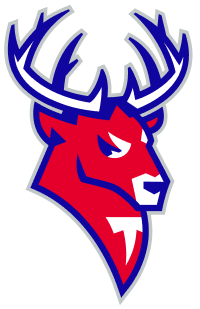 Интернет проект